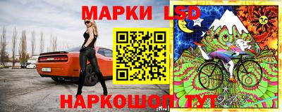 шишки Сосновый Бор