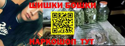 шишки Сосновый Бор