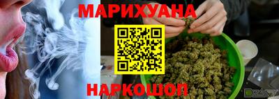 шишки Сосновый Бор