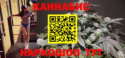 шишки Сосновый Бор