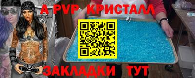 шишки Сосновый Бор